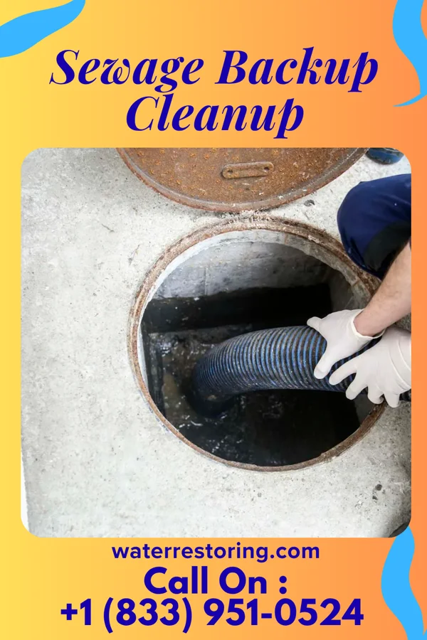 Sewage Backup Cleanup in Lake St. Croix Beach, MN